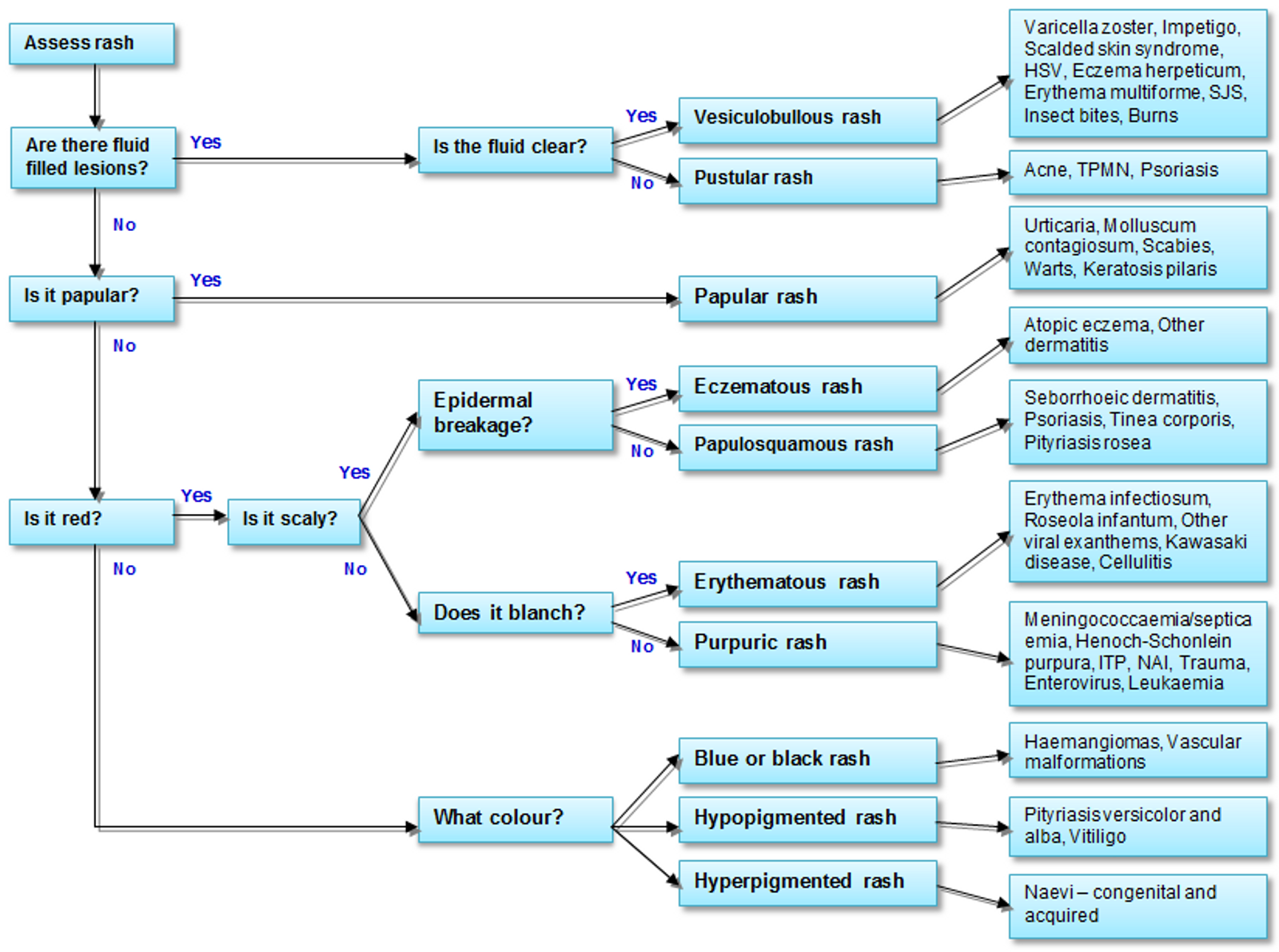 Rash algorithm